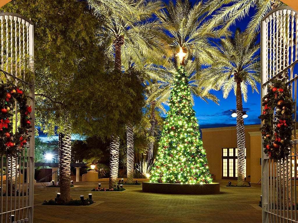 A tall lit Christmas tree among palms, framed by wreath-hung gates