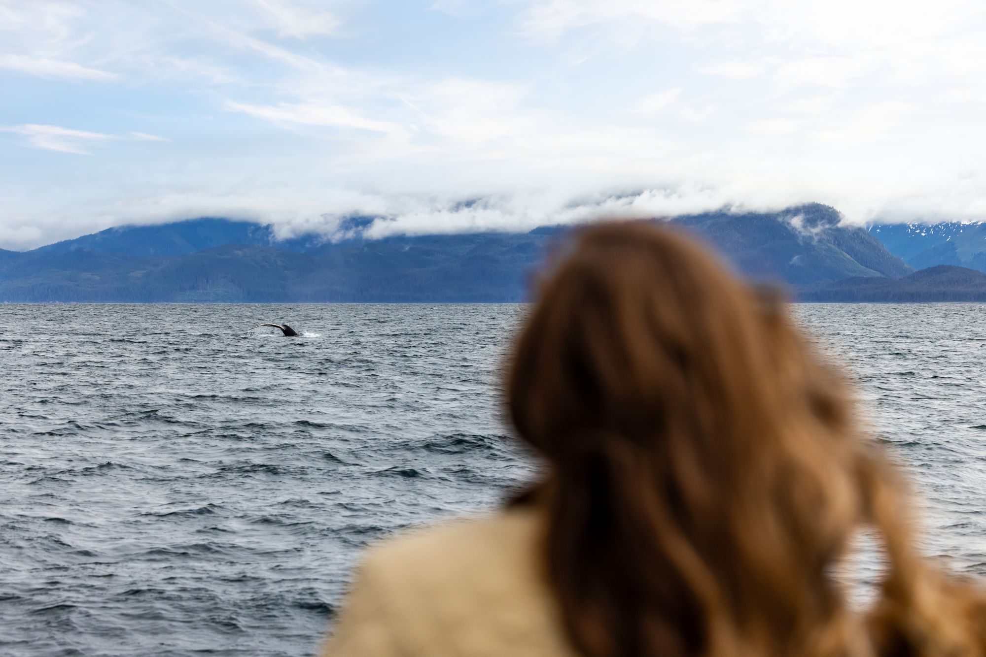 A traveler watching a whale's tail in Icy Strait