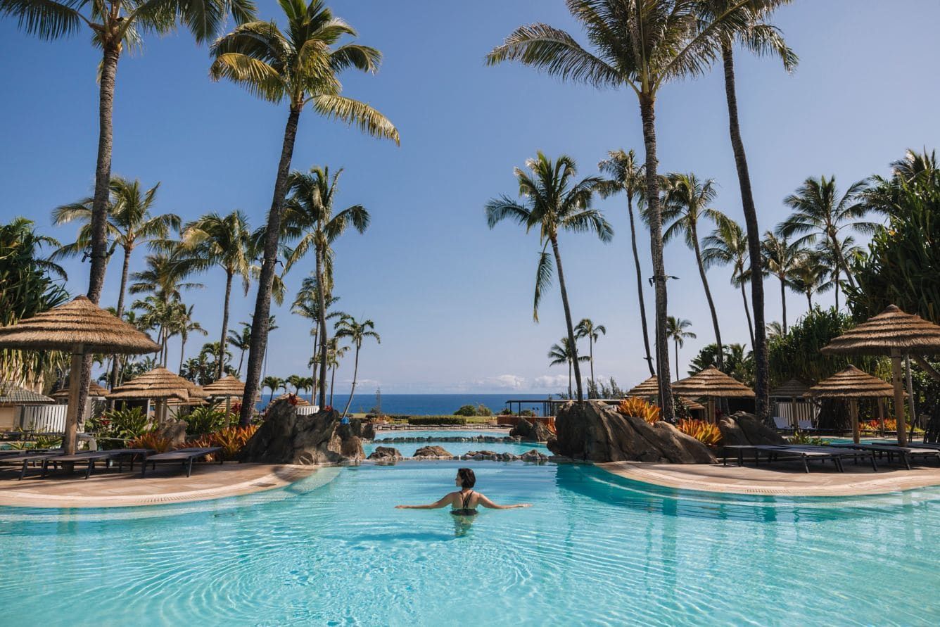 A swimmer in the pool beneath tall palms