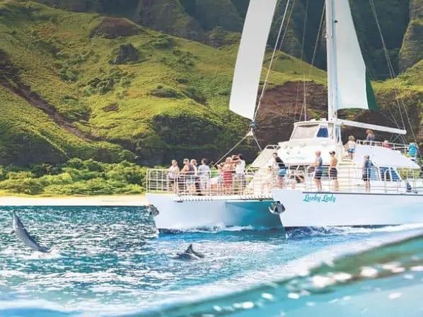 A catamaran off the green cliffs of Kauai, with dolphins in the water