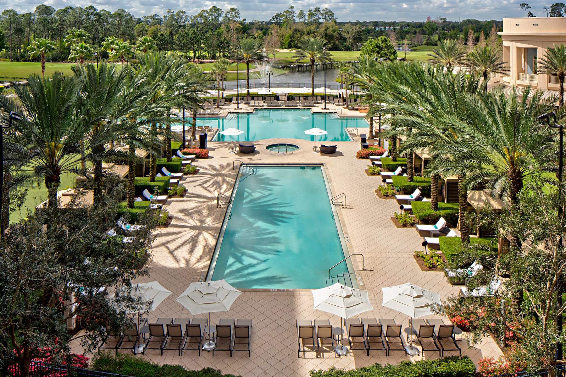 Aerial view of the palm-lined resort pool